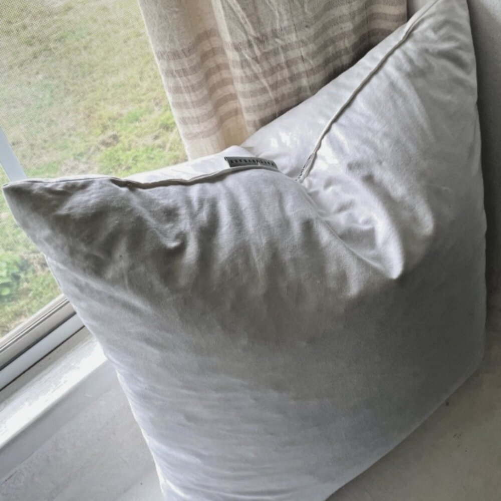 Pottery Barn 20" Feather & Down Square Throw Insert Pillow